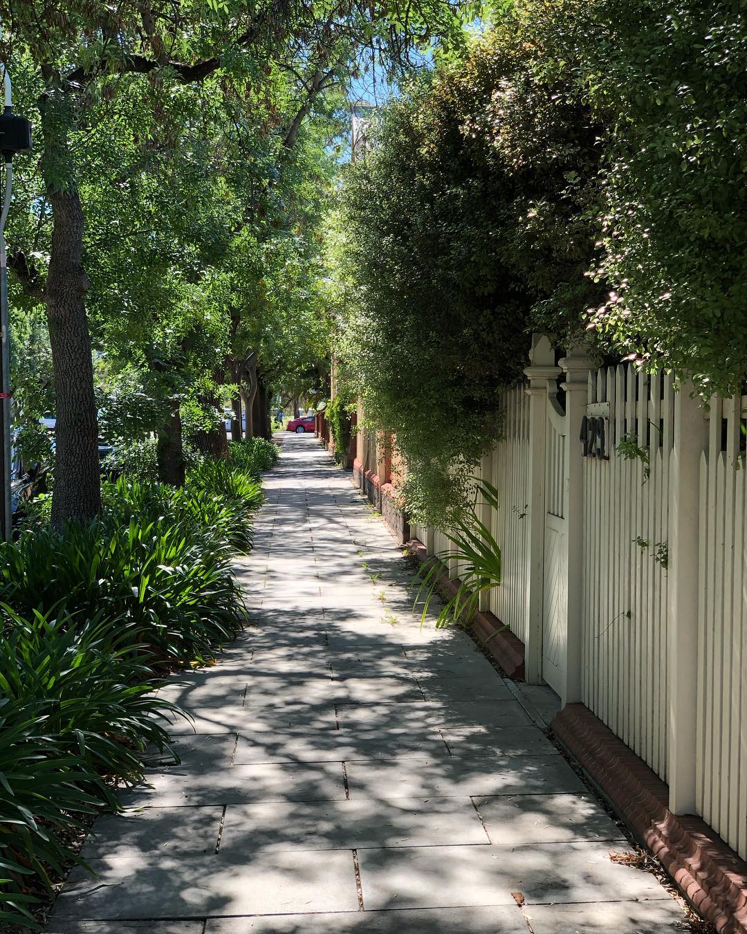 The kind of light, shadow and color it’s impossible to find in Delhi beyond a few days in the monsoon